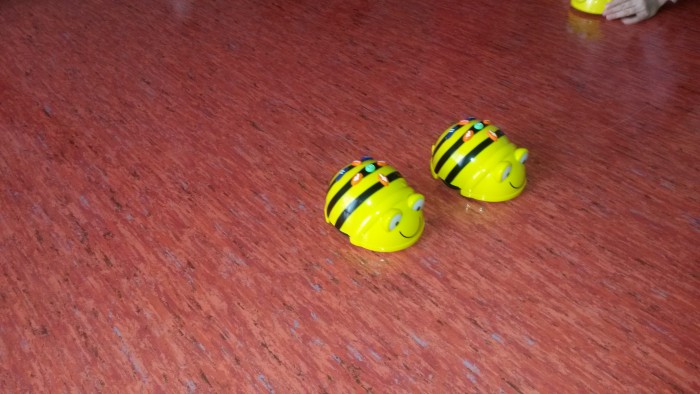 Õnneseened Bee-Bot 007