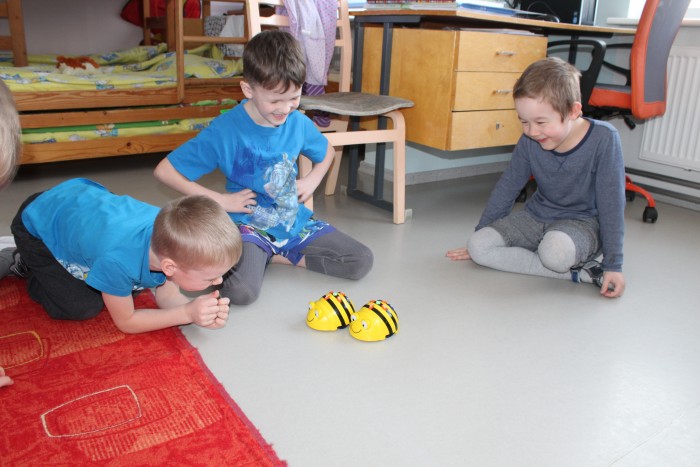 Beebot 013