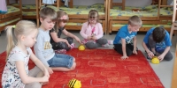 Beebot 004