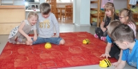Beebot 010