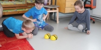 Beebot 013