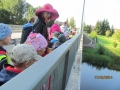 dressi-tossu_paeev_11_20140918_1789154727