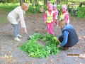 dressi-tossu_paeev_14_20140918_1640224219