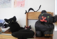must_kass_11_20140502_1040780573