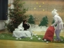 Pilte 16.12 jõulupeost