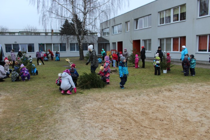 Saadame kuused ära_2018 008
